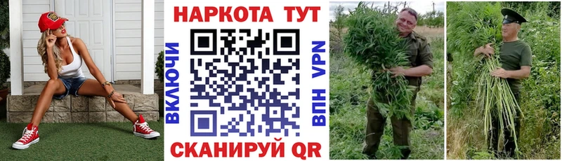 Где продают наркотики Шахунья Метадон Конопля АМФЕТАМИН МЕФ А ПВП ГАШИШ