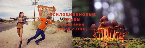 твердый Абинск