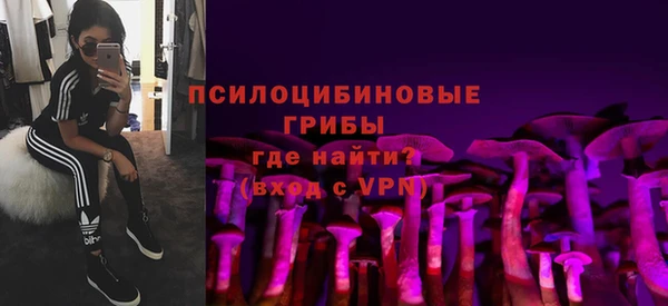 твердый Абинск